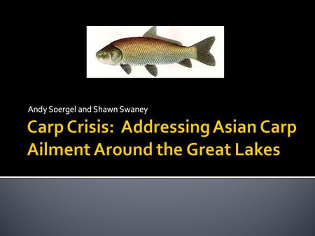 Andy Soergel and Shawn Swaney.  We are environmentalists examining the origins of the Asian Carp dilemma and weighing the pros and cons of potential.