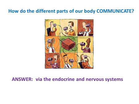 How do the different parts of our body COMMUNICATE?