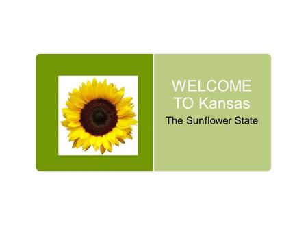 WELCOME TO Kansas The Sunflower State. Kansas is in the Great Plains.