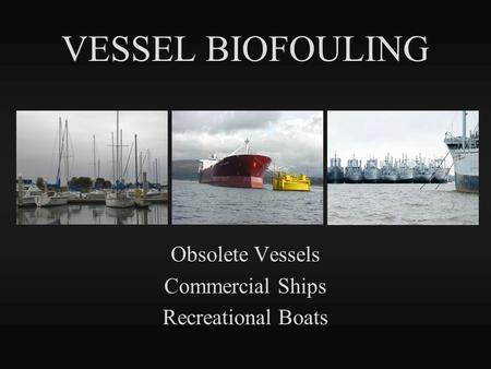 VESSEL BIOFOULING Obsolete Vessels Commercial Ships Recreational Boats.