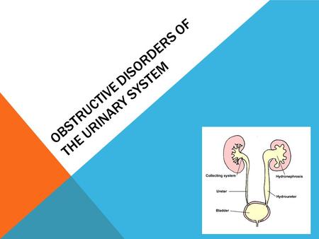 Obstructive disorders of the Urinary system