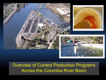 Overview of Current Production Programs Across the Columbia River Basin.