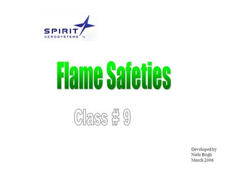 Developed by Niels Bogh March 2006. Objective At the end of the class you will be able to explain the differences of the three main types of flame safety.