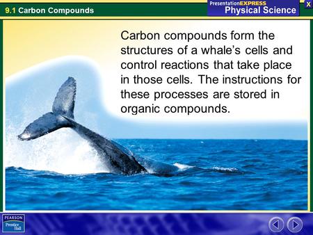 Carbon compounds form the structures of a whale’s cells and control reactions that take place in those cells. The instructions for these processes are.
