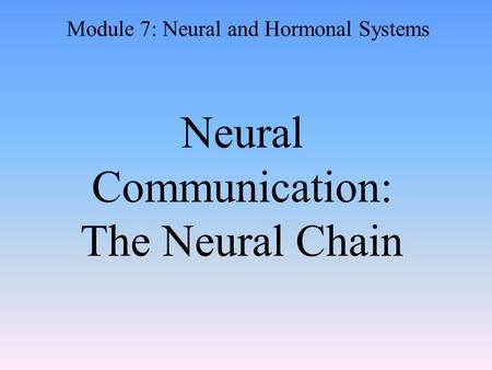 Neural Communication: The Neural Chain