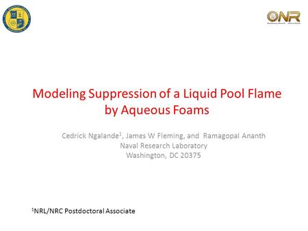 Modeling Suppression of a Liquid Pool Flame by Aqueous Foams Cedrick Ngalande 1, James W Fleming, and Ramagopal Ananth Naval Research Laboratory Washington,