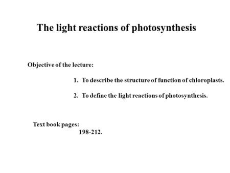 The light reactions of photosynthesis Objective of the lecture: 1. To describe the structure of function of chloroplasts. 2. To define the light reactions.