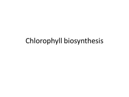 Chlorophyll biosynthesis. In the first phase of chlorophyll biosynthesis: The amino acid glutamic acid is converted to 5- aminolevulinic acid (ALA). This.