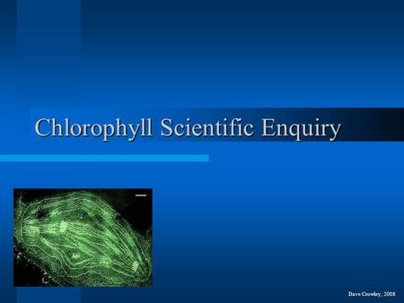 Chlorophyll Scientific Enquiry Dave Crowley, 2008.