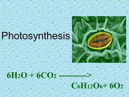 Photosynthesis 6H 2 O + 6CO 2 ----------> C 6 H 12 O 6 + 6O 2.