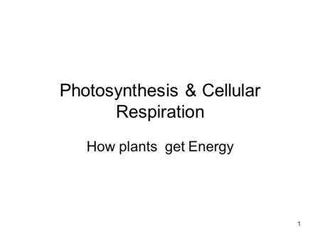 1 Photosynthesis & Cellular Respiration How plants get Energy.