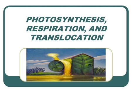 PHOTOSYNTHESIS, RESPIRATION, AND TRANSLOCATION.  abee/BIOBK/BioBookPS.html