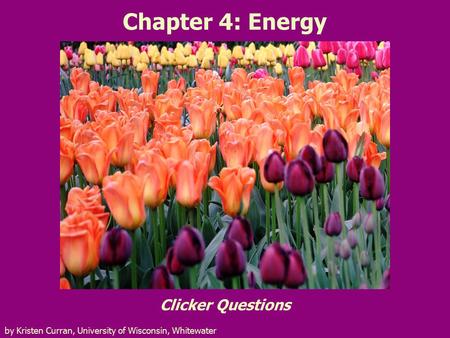 Chapter 4: Energy Clicker Questions