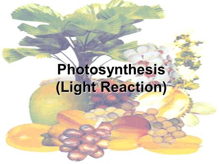 Photosynthesis (Light Reaction). Introduction to Photosynthesis Life is solar powered. photosynthesis captures light energy from the sun and converts.