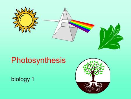 Photosynthesis biology 1. Photosynthesis plays a key role in photo-autotrophic existence Photosynthesis is a redox process, occurring in chloroplasts,
