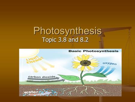 Photosynthesis Topic 3.8 and 8.2.