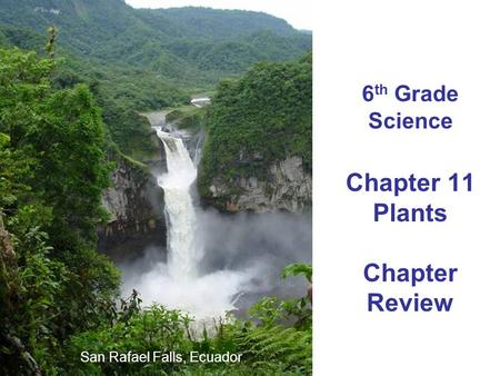 6 th Grade Science Chapter 11 Plants Chapter Review San Rafael Falls, Ecuador.