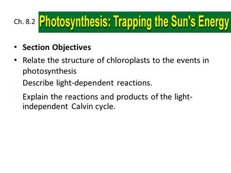 Relate the structure of chloroplasts to the events in photosynthesis