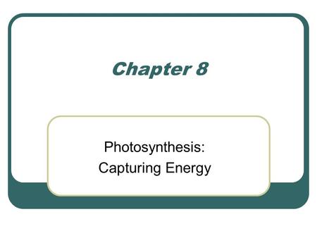 Photosynthesis: Capturing Energy