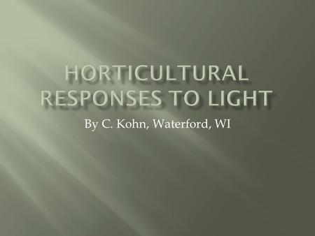 By C. Kohn, Waterford, WI.  The most obvious and important plant process affected by light is photosynthesis, the creation of sugar from water and carbon.