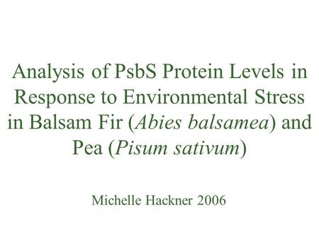 Analysis of PsbS Protein Levels in Response to Environmental Stress in Balsam Fir (Abies balsamea) and Pea (Pisum sativum) Michelle Hackner 2006.