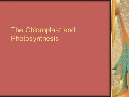 The Chloroplast and Photosynthesis. Photosynthesis What are oxygenic phototrophs and how have they determined the course of evolution of life on earth?
