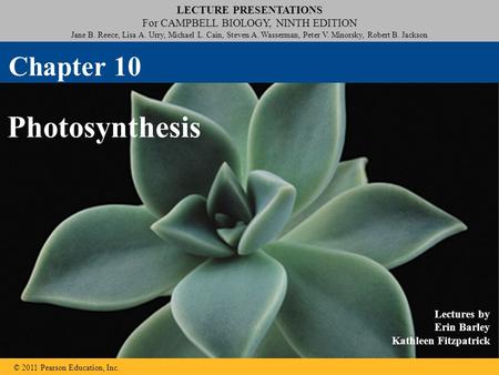 Chapter 10 Photosynthesis.