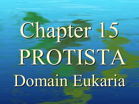 Chapter 15 PROTISTA Domain Eukaria This chapter represents a variety of mostly aquatic autotrophic organisms Protists range from single cells to complex,