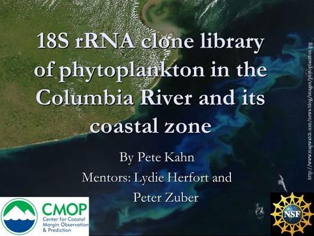 1 18S rRNA clone library of phytoplankton in the Columbia River and its coastal zone By Pete Kahn Mentors: Lydie Herfort and Peter Zuber Peter Zuber
