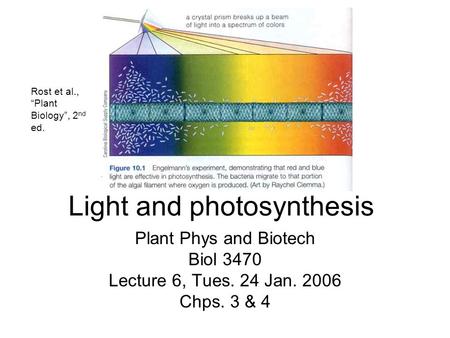 Light and photosynthesis Plant Phys and Biotech Biol 3470 Lecture 6, Tues. 24 Jan. 2006 Chps. 3 & 4 Rost et al., “Plant Biology”, 2 nd ed.