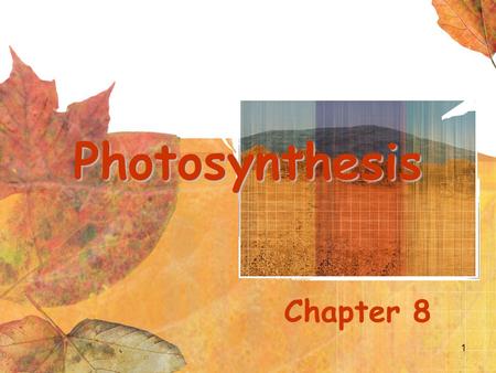 1 Photosynthesis Chapter 8. 2 Autotrophs Autotrophs include organisms that make their own foodAutotrophs include organisms that make their own food Euglena.
