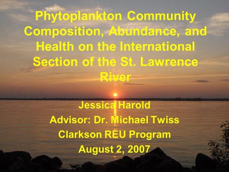 Phytoplankton Community Composition, Abundance, and Health on the International Section of the St. Lawrence River Jessica Harold Advisor: Dr. Michael Twiss.
