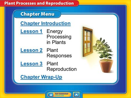 Lesson 1 Energy Processing in Plants