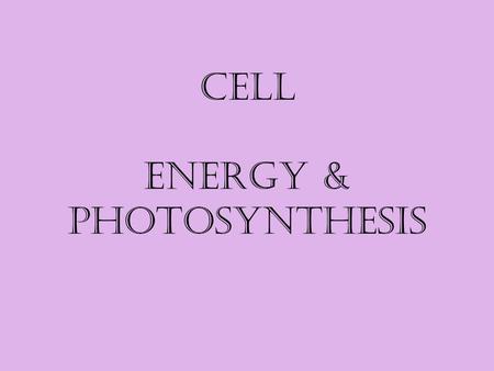Cell Energy & Photosynthesis. Source of Energy In most living organisms the energy in most food comes from? the sun autotroph – ‘auto’ – self, ‘troph’
