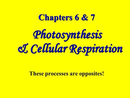 Photosynthesis & Cellular Respiration These processes are opposites!