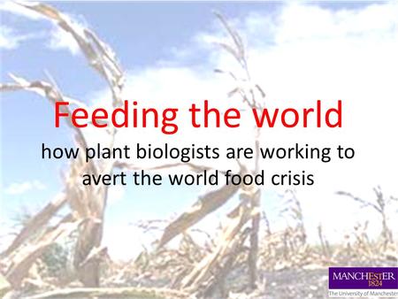 Feeding the world how plant biologists are working to avert the world food crisis.