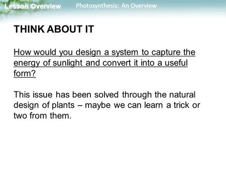 Lesson Overview Lesson Overview Photosynthesis: An Overview THINK ABOUT IT How would you design a system to capture the energy of sunlight and convert.