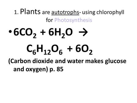 1. Plants are autotrophs- using chlorophyll for Photosynthesis 6CO 2 + 6H 2 O → C 6 H 12 O 6 + 6O 2 (Carbon dioxide and water makes glucose and oxygen)