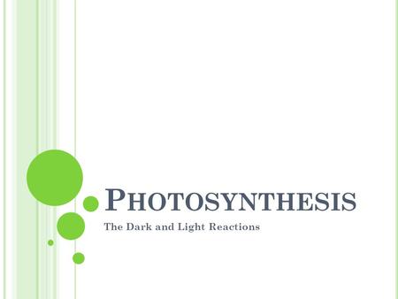 P HOTOSYNTHESIS The Dark and Light Reactions. E NERGY IS ESSENTIAL TO ALL LIVING THINGS. All energy on earth originates in nuclear reactions in the sun.