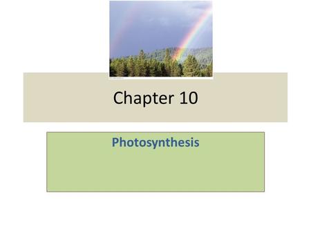 Chapter 10 Photosynthesis. The Process That Feeds the Biosphere Photosynthesis is the process that converts solar energy into chemical energy Directly.