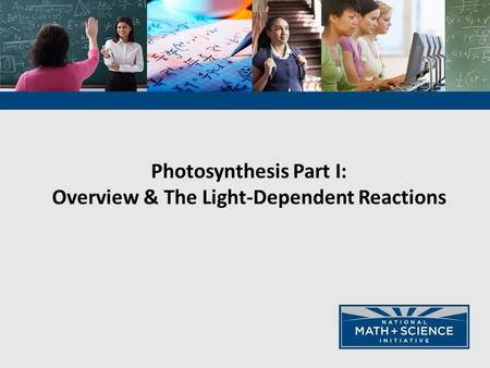 Photosynthesis Part I: Overview & The Light-Dependent Reactions.
