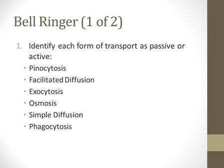 Bell Ringer (1 of 2) 1.Identify each form of transport as passive or active: Pinocytosis Facilitated Diffusion Exocytosis Osmosis Simple Diffusion Phagocytosis.