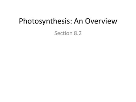 Photosynthesis: An Overview