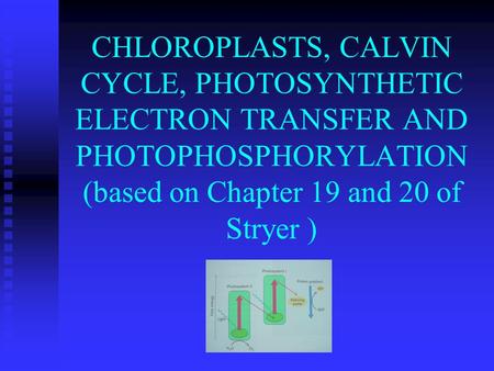 CHLOROPLASTS, CALVIN CYCLE, PHOTOSYNTHETIC ELECTRON TRANSFER AND PHOTOPHOSPHORYLATION (based on Chapter 19 and 20 of Stryer )