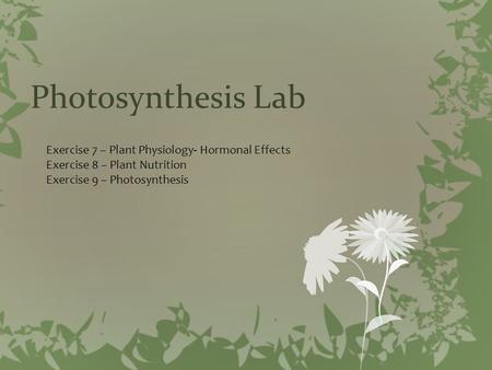 Photosynthesis Lab Exercise 7 – Plant Physiology- Hormonal Effects Exercise 8 – Plant Nutrition Exercise 9 – Photosynthesis.