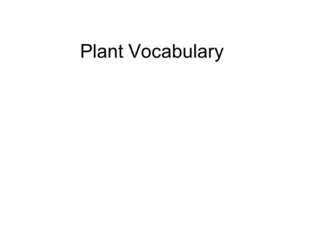 Plant Vocabulary. Photosynthesis Transforms Radiant Energy  Chemical Energy Water + Carbon Dioxide sunlight  Glucose (sugar) + Oxygen H 2 O + CO 2 
