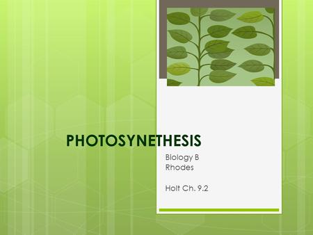 PHOTOSYNETHESIS Biology B Rhodes Holt Ch. 9.2. Review of Carbon Cycle PHOTOSYNTHESIS RESPIRATION CO2CO2 Glucose or fuel or organic compound combustion.