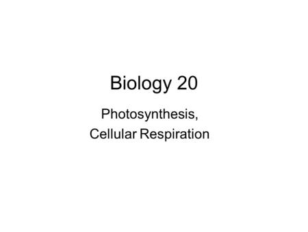 Photosynthesis, Cellular Respiration
