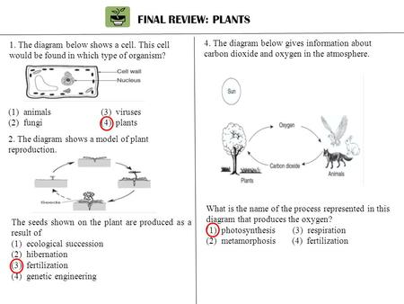 FINAL REVIEW: PLANTS 4. The diagram below gives information about