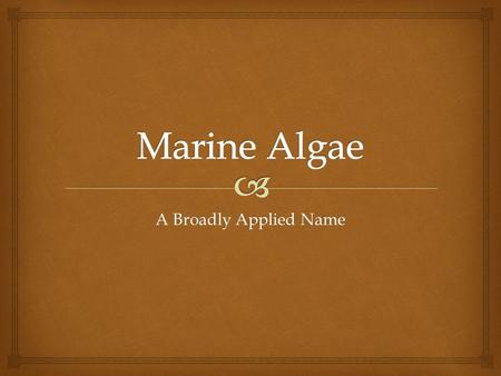 A Broadly Applied Name.   Algae are the ocean counterparts of plants, accounting for as much as 90% of the Earth’s primary productivity and oxygen production.